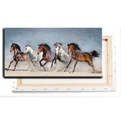 A-137 תמונה פנורמית מעוצבת של סוסים דוהרים בטבע על זכוכית או קנבס