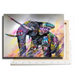 A-351 ציור גרפיטי צבעוני של פיל להדפסה על קנבס וזכוכית
