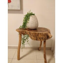 שולחן קפה עשוי מגזע עץ סיסם הודי