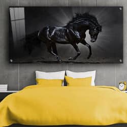 A-155 תמונת זכוכית או קנבס של סוס דוהר לסלון או חדר שינה
