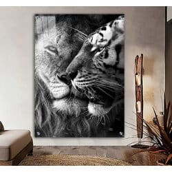 A-56 תמונת זכוכית או קנבס של אריה ולביאה בשחור לבן לסלון או חדר שינה