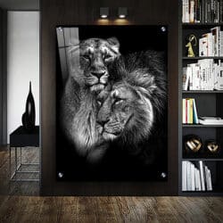 A-62 תמונת זכוכית או קנבס של אריה ולביאה בשחור לבן לסלון או חדר שינה