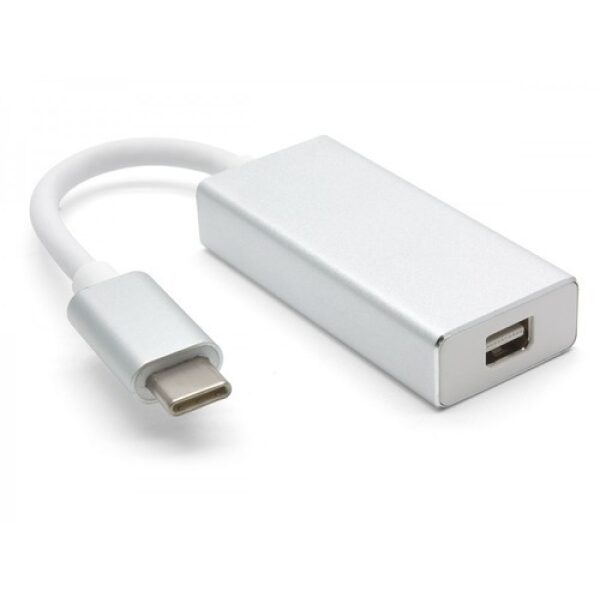 מתאם Protec DM184 USB Type C Male to Mini DisplayPort Cable 4K