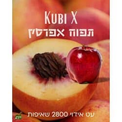 סיגריה אלקטרונית 1200 שאיפות תפוח אפרסק KUBI X