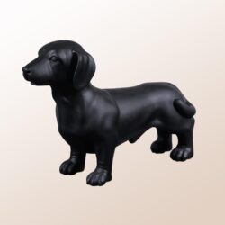 כלב שחור 4 רגליים