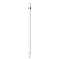 עיפרון Apple Pencil