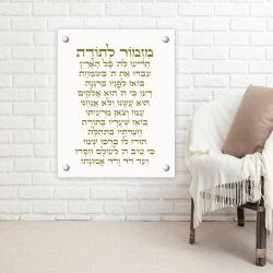 מזמור לתודה על זכוכית 20-30