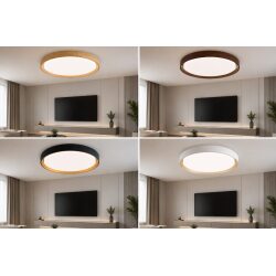 מנורת תקרה צמודת תקרה דגם נועה | LED 40W במבחר צבעים