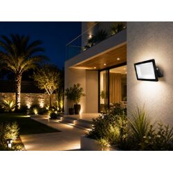 פרוז'קטור כוכב שחור LED מוגן מים IP65